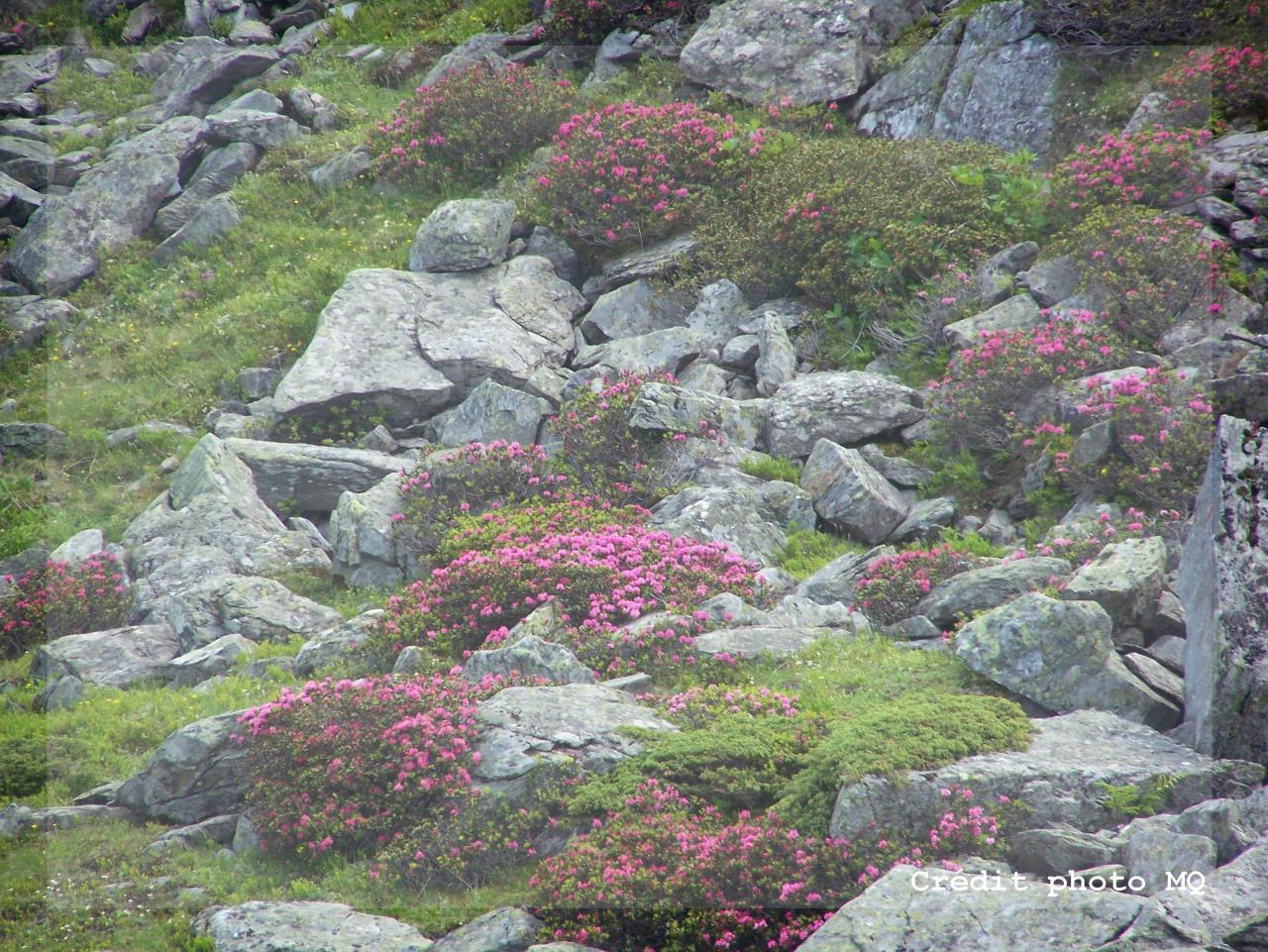 Val Thorens - Printemps (1)