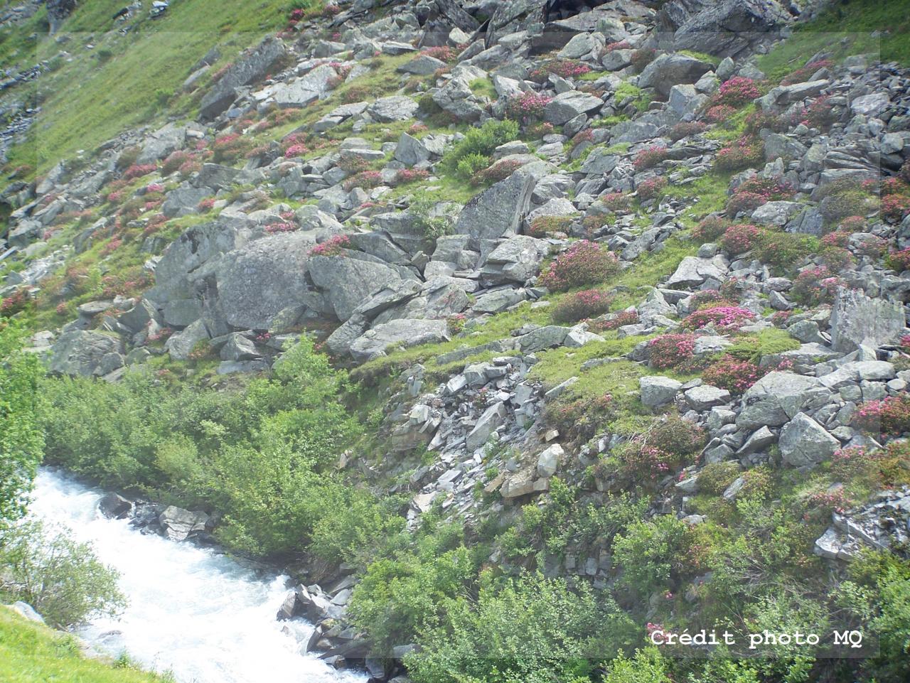 Val Thorens - Printemps (3)